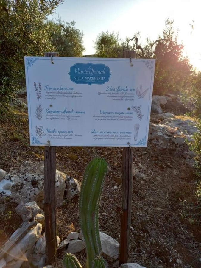 Le Capanne Di Villa Margherita Sonnino Екстер'єр фото