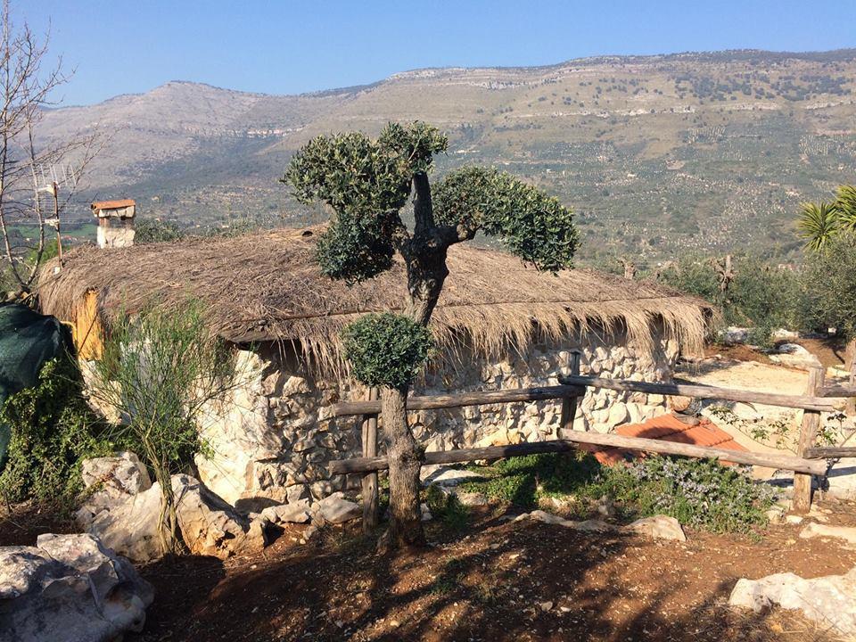 Le Capanne Di Villa Margherita Sonnino Екстер'єр фото